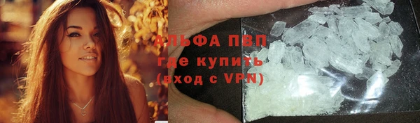 дживик Арсеньев