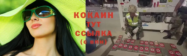 spice Аркадак