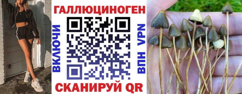 Псилоцибиновые грибы Psilocybe  Крым 